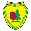 Romsilva